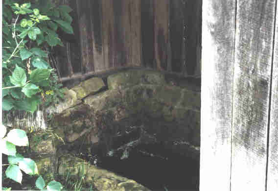 The Wilson Spring